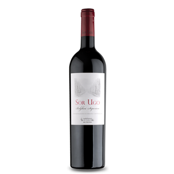 AIA Vecchia Sor Ugo Bolgheri Rosso Superiore D.O.C